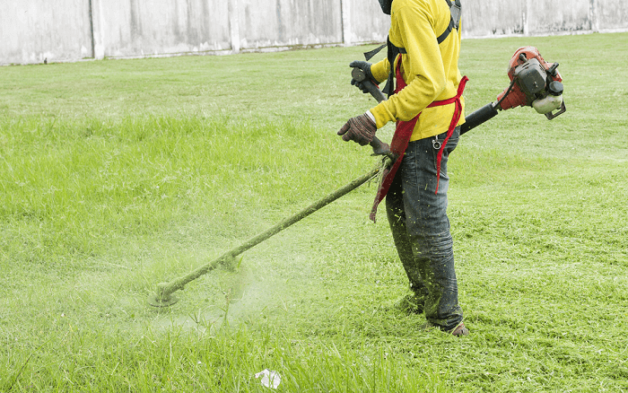 Battery Strimmer