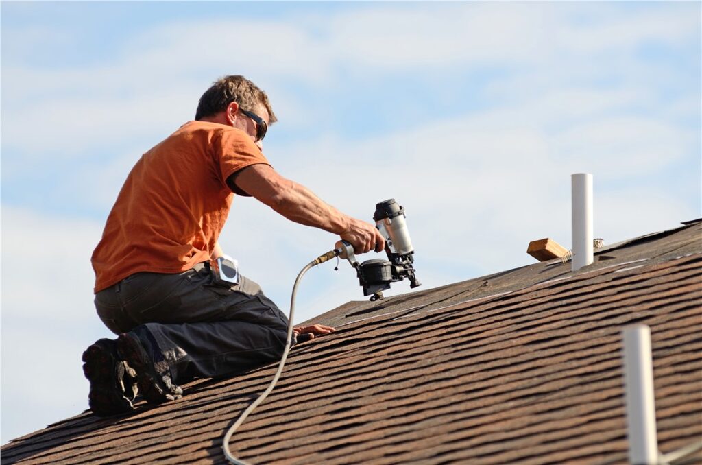 Professional Roofer 