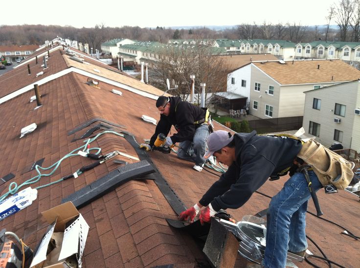 Professional Roofer 