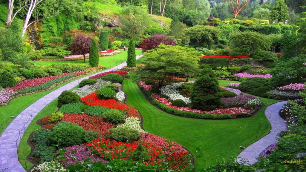 Creating Beautiful Landscaping 