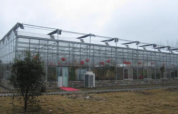 Greenhouse Construction Costs and Design 