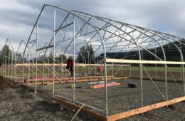 Greenhouse Construction Costs and Design