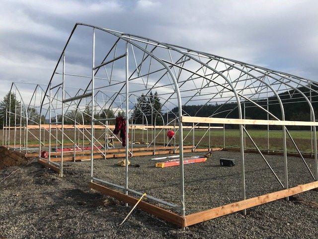 Greenhouse Construction Costs and Design