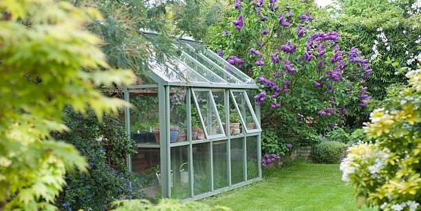 Greenhouse Gardening Ideas For Beginners 