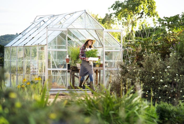 Greenhouse Gardening Ideas For Beginners 