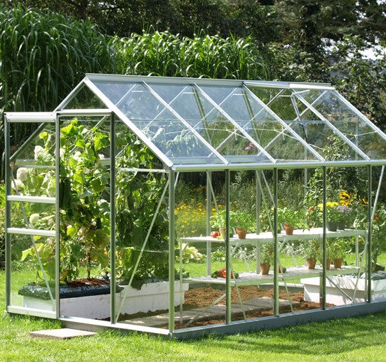 Greenhouse Gardening Ideas For Beginners 