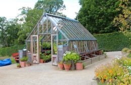 Greenhouse Gardening Ideas For Beginners