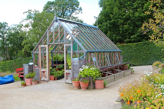 Greenhouse Gardening Ideas For Beginners