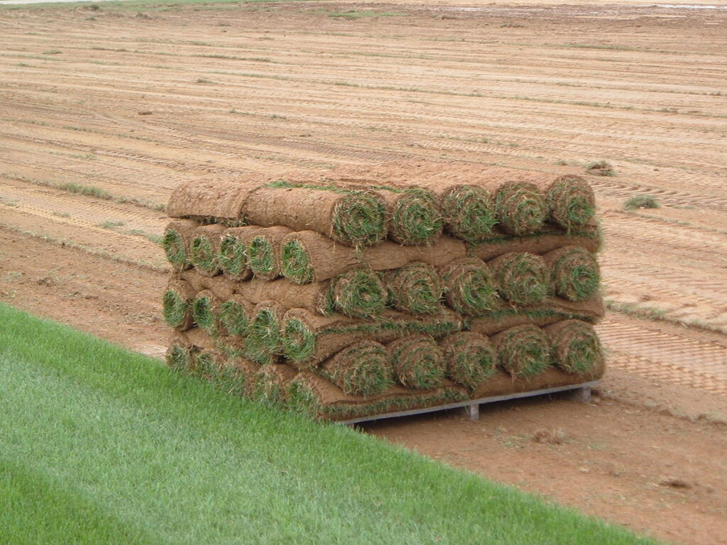 SOD farm 