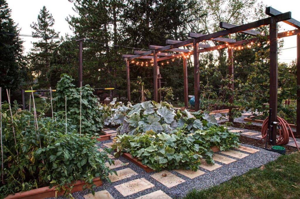 Creative Ideas to Grow a Food Garden 