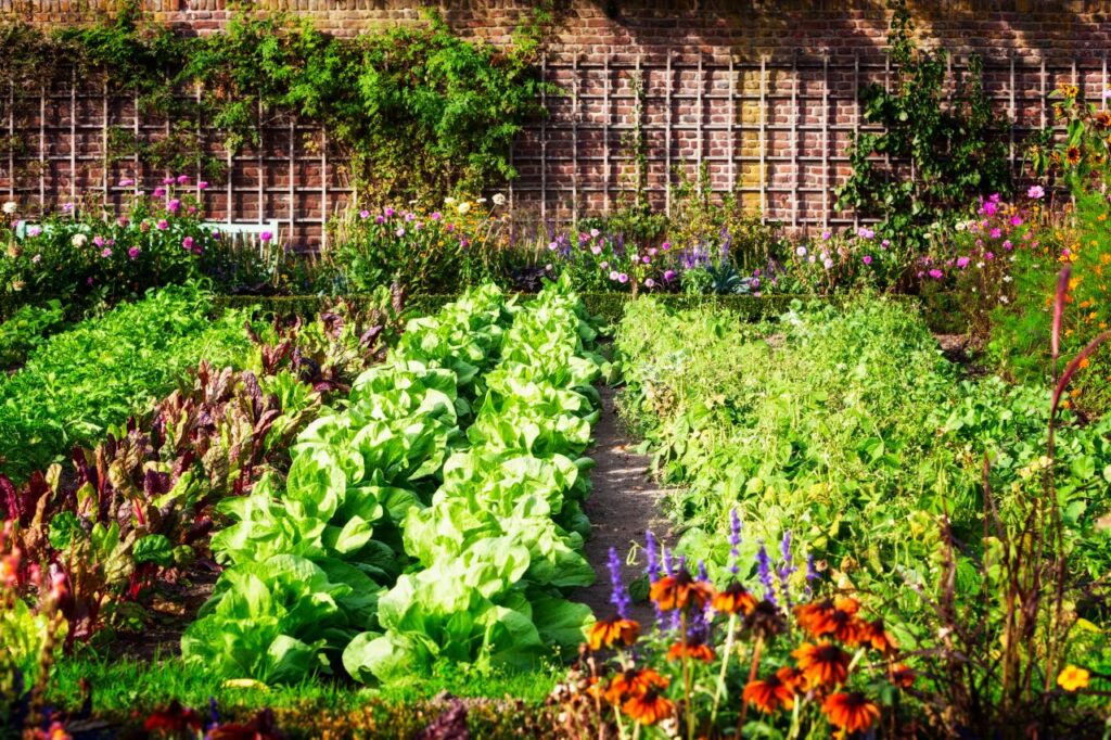 Creative Ideas to Grow a Food Garden 