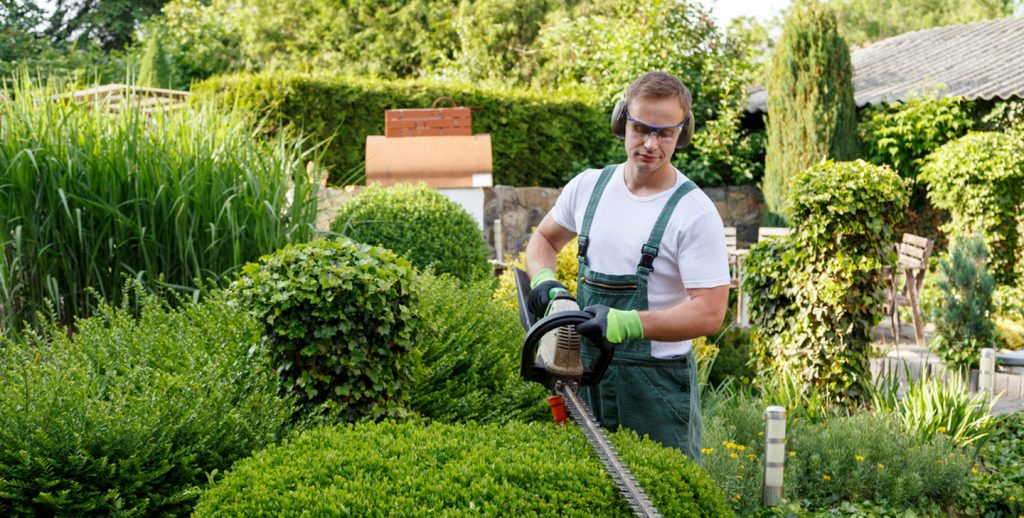 Tips for Commercial Landscaping Maintenance 