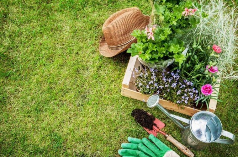 Tips for Commercial Landscaping Maintenance