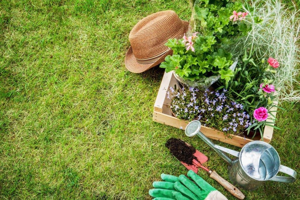 Tips for Commercial Landscaping Maintenance 