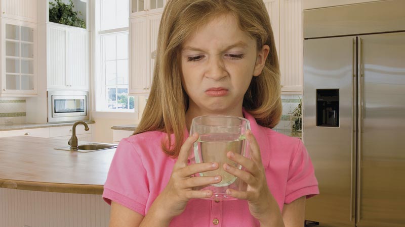 How to Fix Rotten Egg Smell from Well Water 
