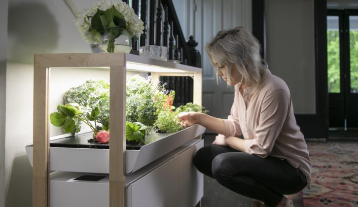 Indoor Gardening 