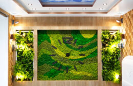 How To Amaze Your Space With Moss Wall Decor Ideas?