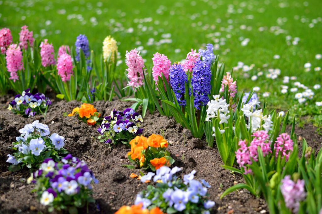 Spring Garden Planning Guide 