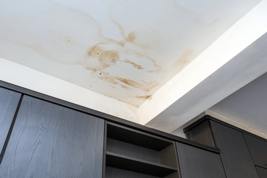 Identify Water Damage in Your Home 