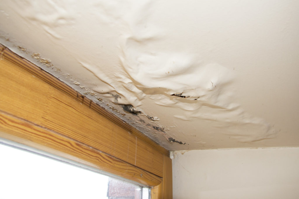 Identify Water Damage in Your Home 