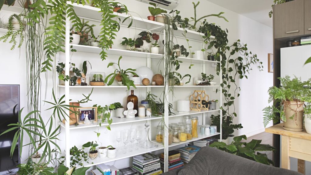 Indoor Plant Shelf Ideas 