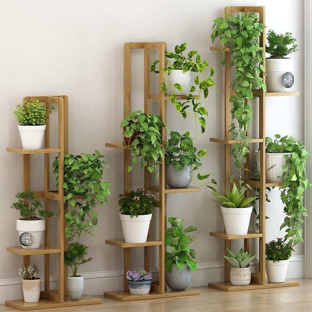 Indoor Plant Shelf Ideas 