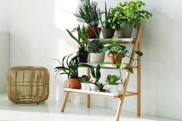 Indoor Plant Shelf Ideas 