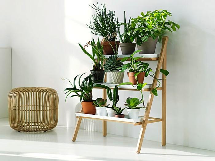 Indoor Plant Shelf Ideas 