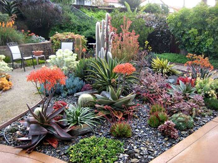 Make Your Garden Look Beautiful 