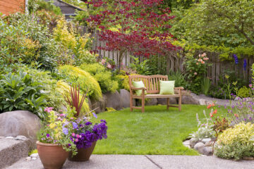Make Your Garden Look Beautiful