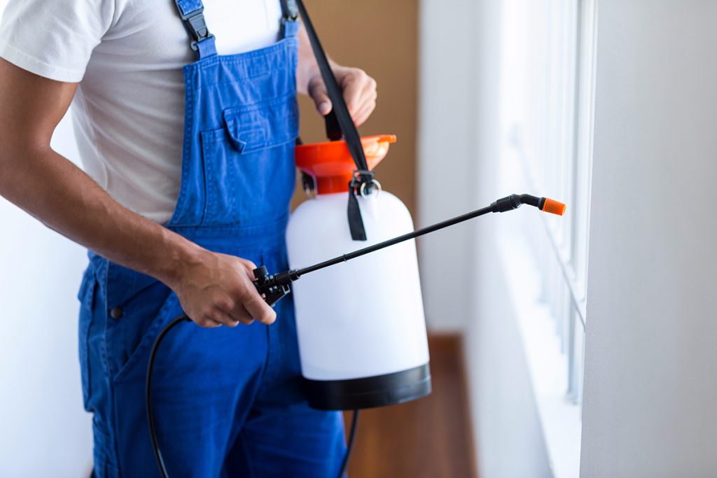 Benefits of Professional Pest Control 