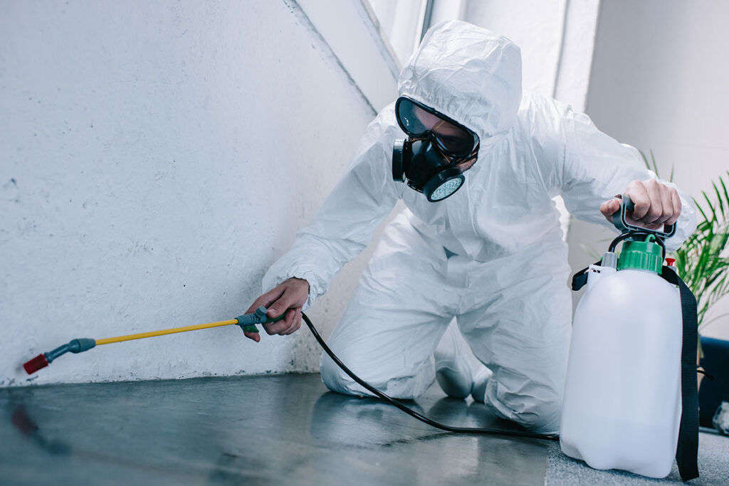 Benefits of Professional Pest Control 