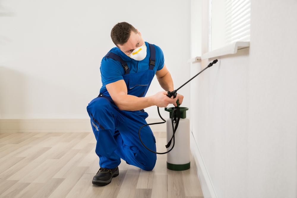 Benefits of Professional Pest Control