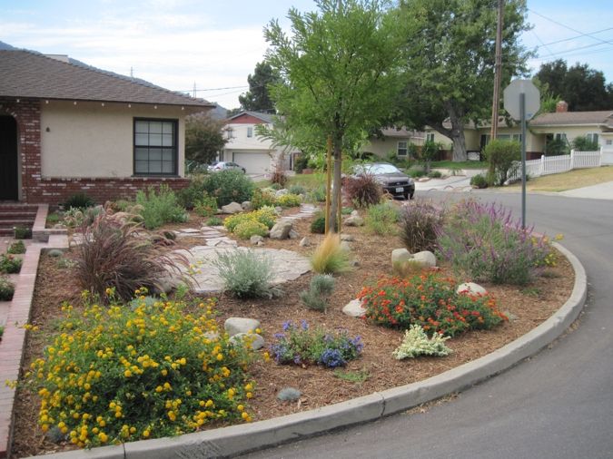 Drought-Tolerant Landscaping Ideas 