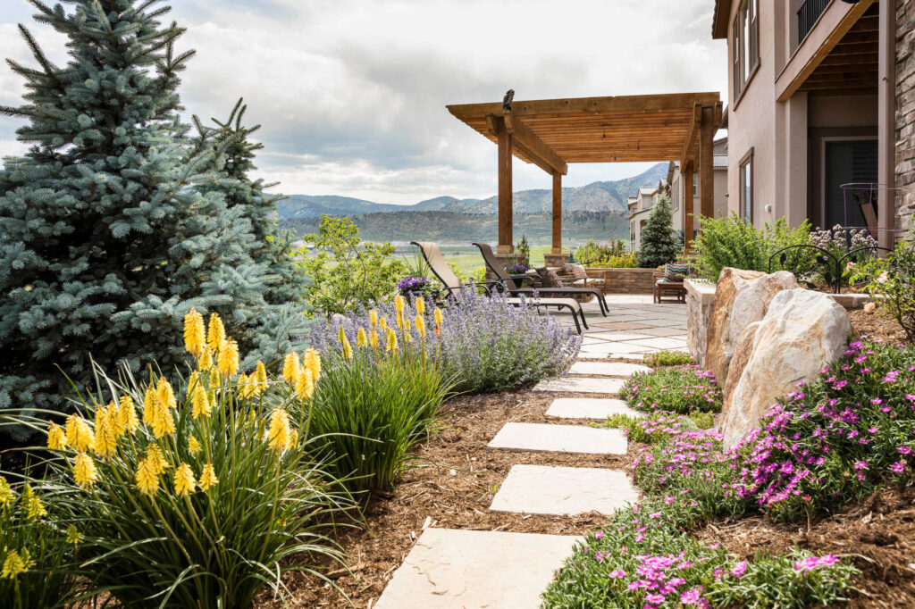 Drought-Tolerant Landscaping Ideas 