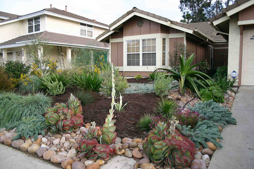 Drought-Tolerant Landscaping Ideas 