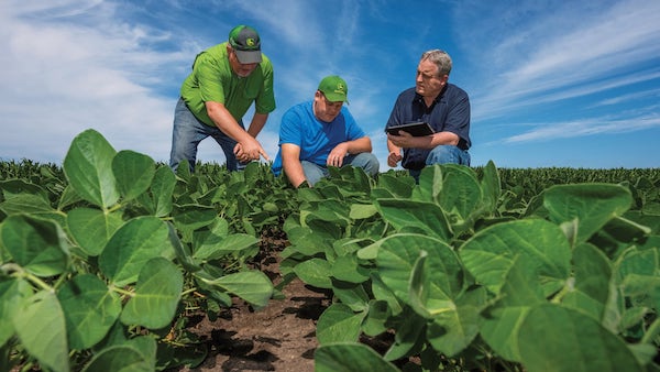 Improve Agricultural Efficiency with Horticulture Agronomy Services 
