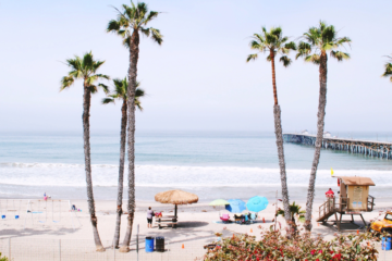 Reasons You Should Live In California