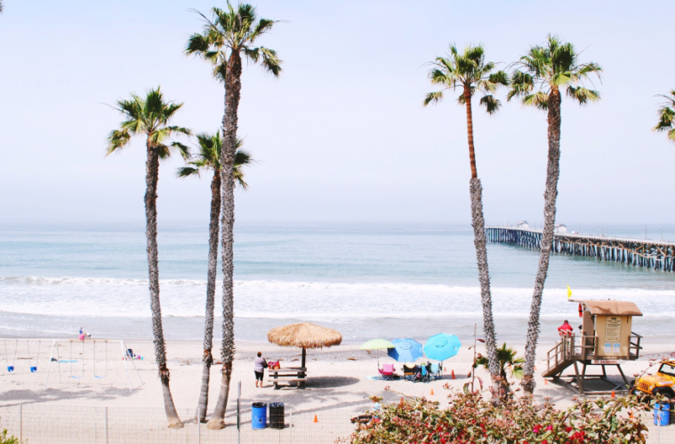 Reasons You Should Live In California