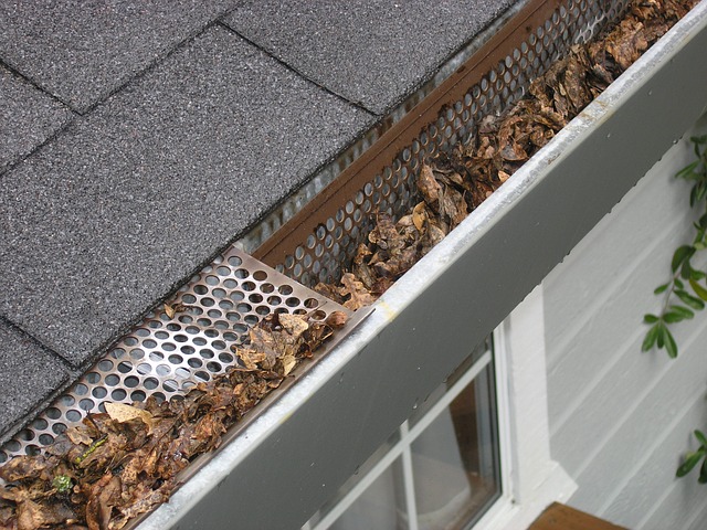 Signs Your Gutters Are in a Dire Need of Cleaning 