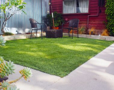Best Fake Grass For Yards