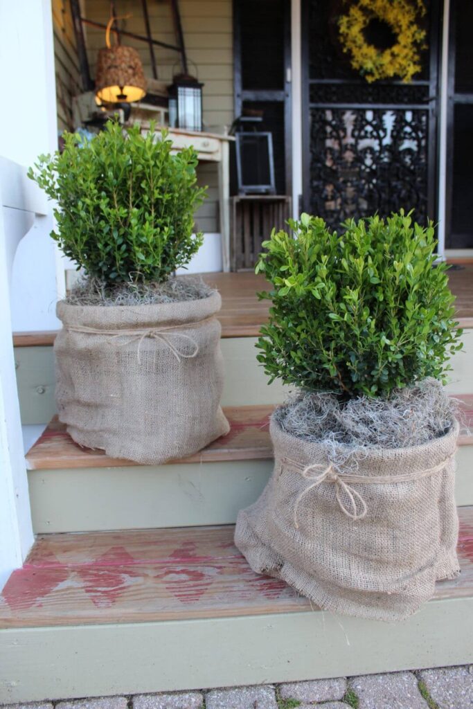 Color Planters For Elegant Home And Garden Decor 