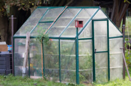 How Does a Greenhouse Work