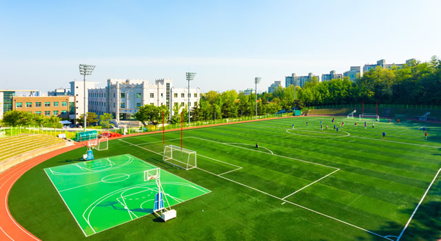 Maintain Your School's Sports Field 