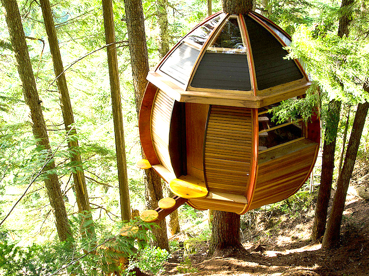 Treehouse Designs 