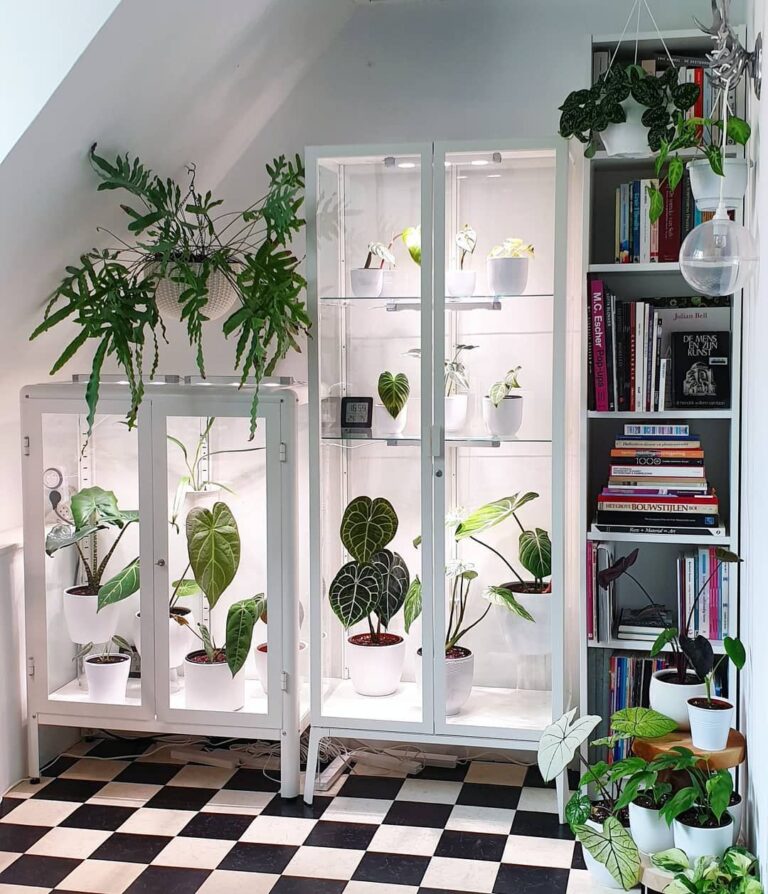 Greenhouse Cabinets - Trending Hack For Plant Lovers!