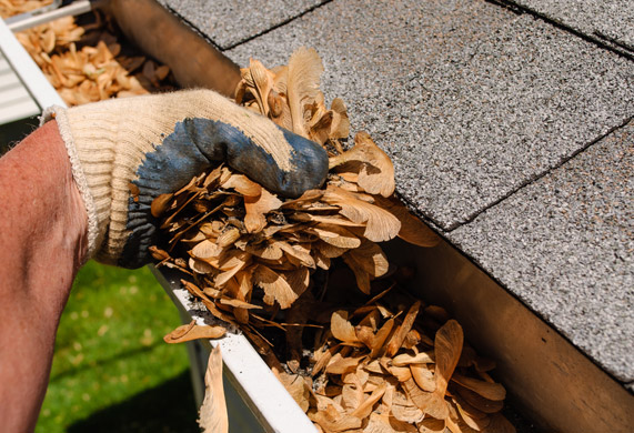 Gutter Cleaning Service 