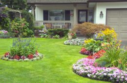 Improve Your Front and Backyard
