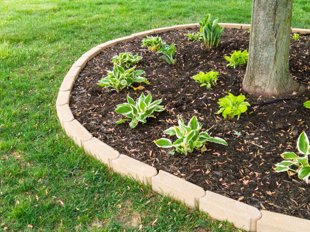 landscaping around trees 