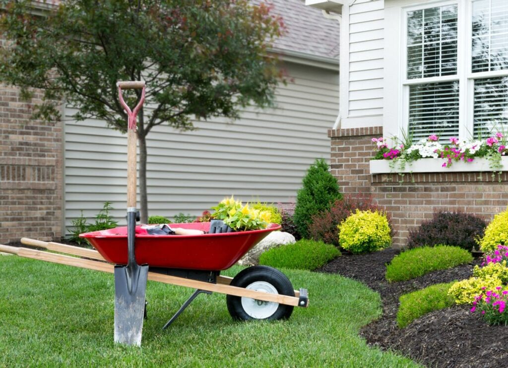 landscaping around trees 